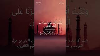 video pic