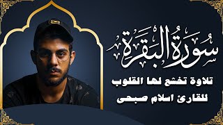 video pic