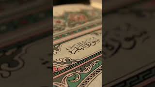 video pic
