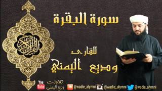 video pic