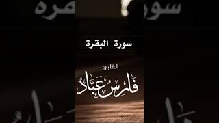 video pic