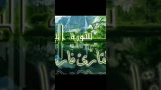 video pic