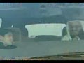 video pic