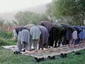 video pic