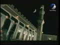 video pic