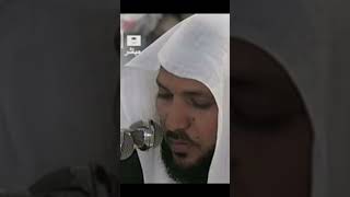 video pic